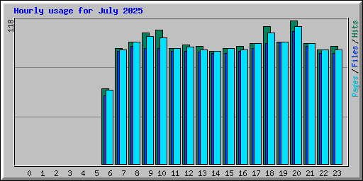 Hourly usage for July 2025