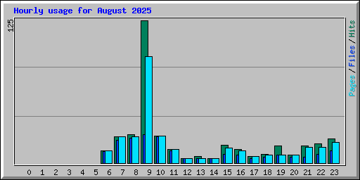 Hourly usage for August 2025