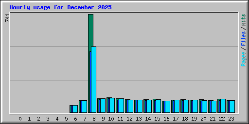 Hourly usage for December 2025