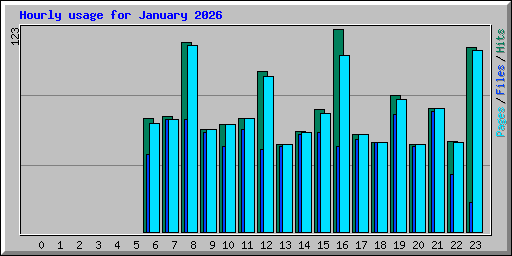 Hourly usage for January 2026